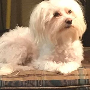 Meet your Posher, Leslie